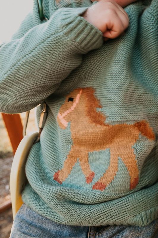 GIDDYUP SAGE JUMPER