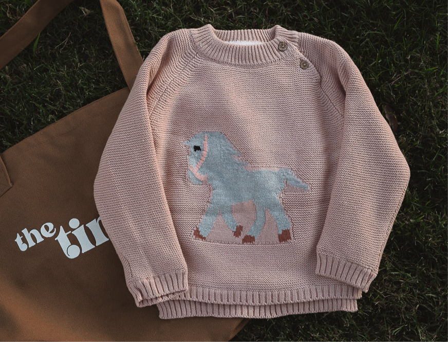 GIDDYUP PINK JUMPER